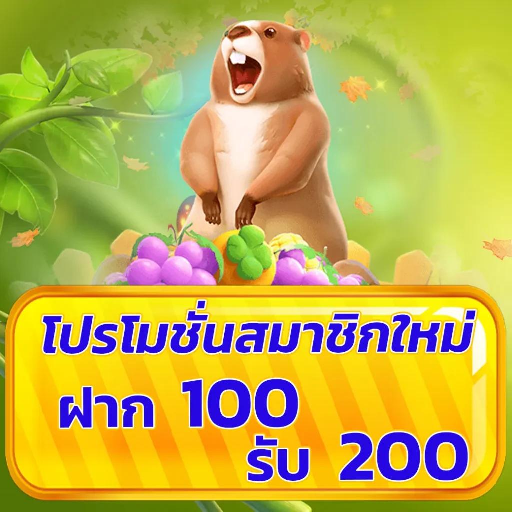 7m บอลสด เว็บตรง คมชัดในทุกการแข่ง เดิมพันง่ายไม่มีสะดุด