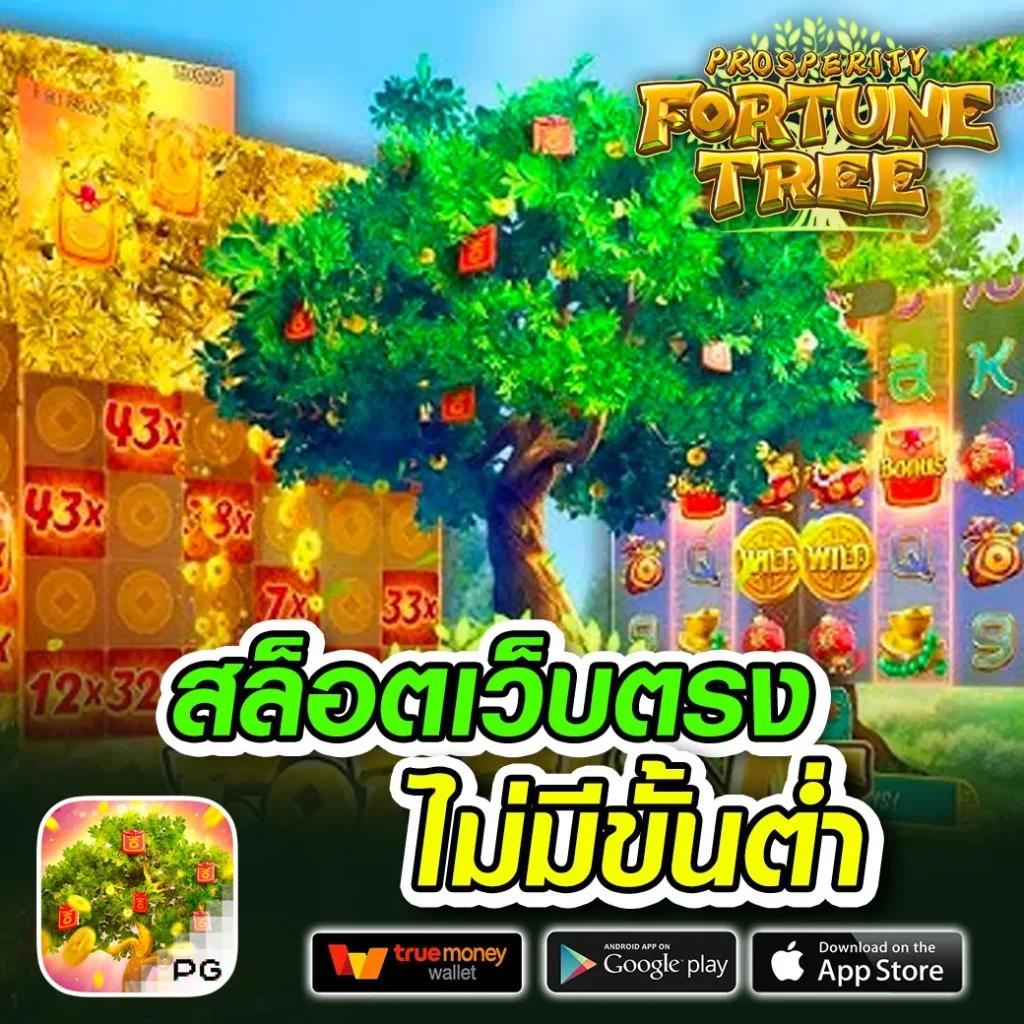 สัมผัสประสบการณ์คาสิโนออนไลน์ สุ่มชื่อไทย มาตรฐานระดับสากล 2024